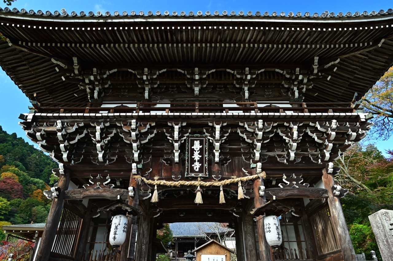せっかくなので境内へ