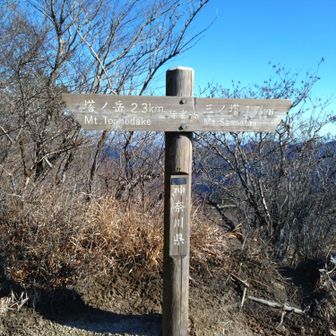 行者岳登頂💪

まきさんは元気なので予定通り丹沢山へ‥
私はヘロヘロなので塔ノ岳で休んで先に下山することにして‥暫しお別れ👋