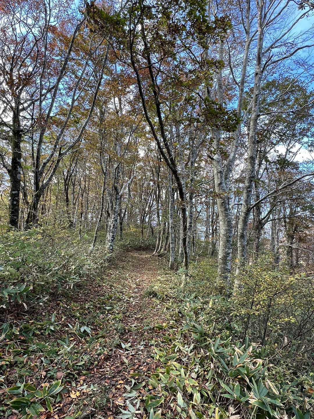 池ノ段 周回コースの写真