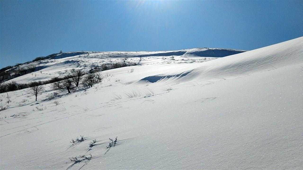 先ずは前回と逆で蝶々深山を目指す