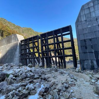 いつ見ても大きいです