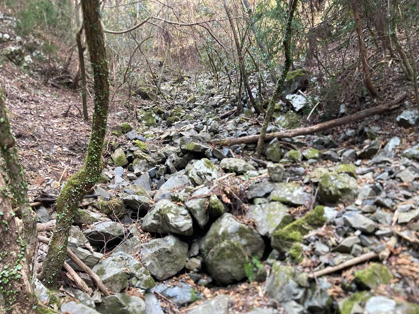 こんなゴロゴロ岩場もある