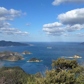 晴れてきたから海が青い🦕