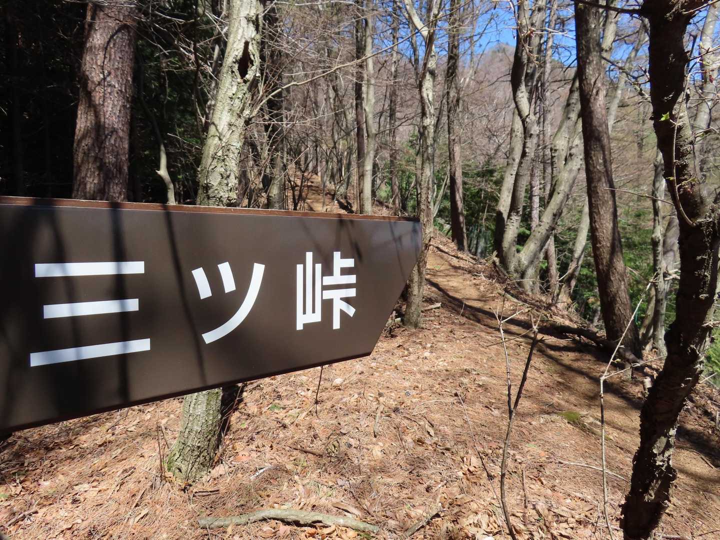 三ツ峠を示す道標
この登山道って三ツ峠まで続いているんだ。へ〜…他人事😅