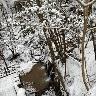 滝が7つもあるってことだったけど、確認できたのはこれだけだった😅