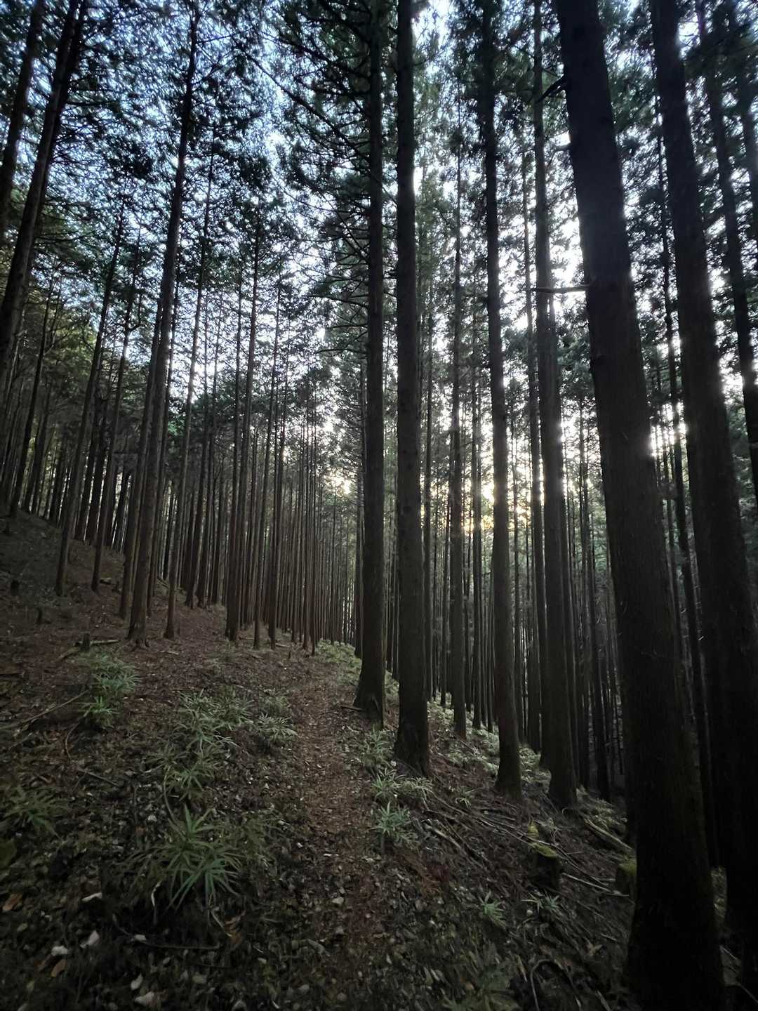 今日は下山してお終い。

お疲れ様でした