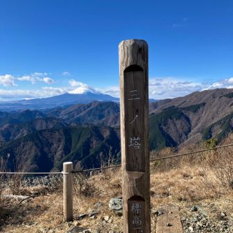 コレが本日のベストショットかな