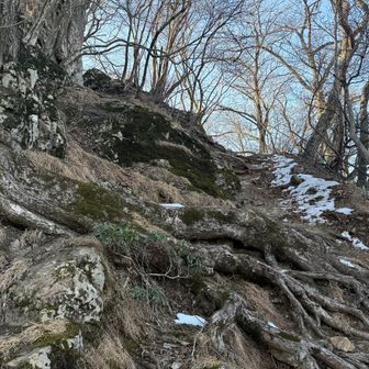 ちょっとだけ凍ってるところもあったので気をつけて進む🚶‍♀️