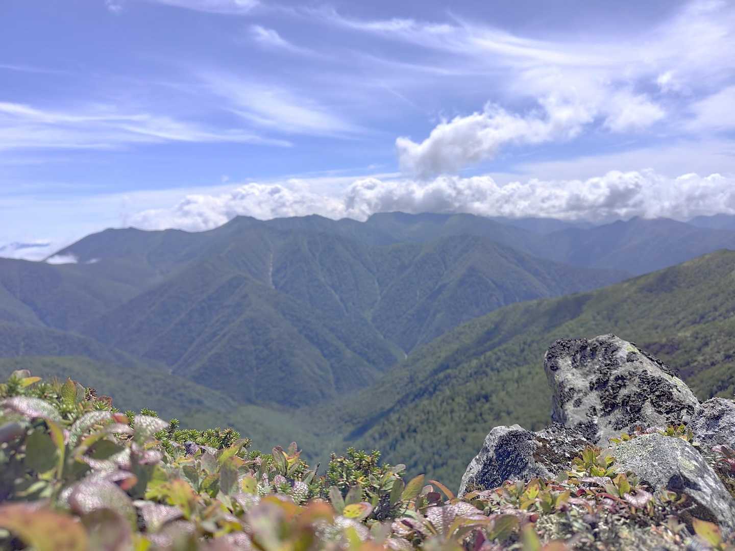 曲り沢登山口-チロロ岳 往復コースの写真