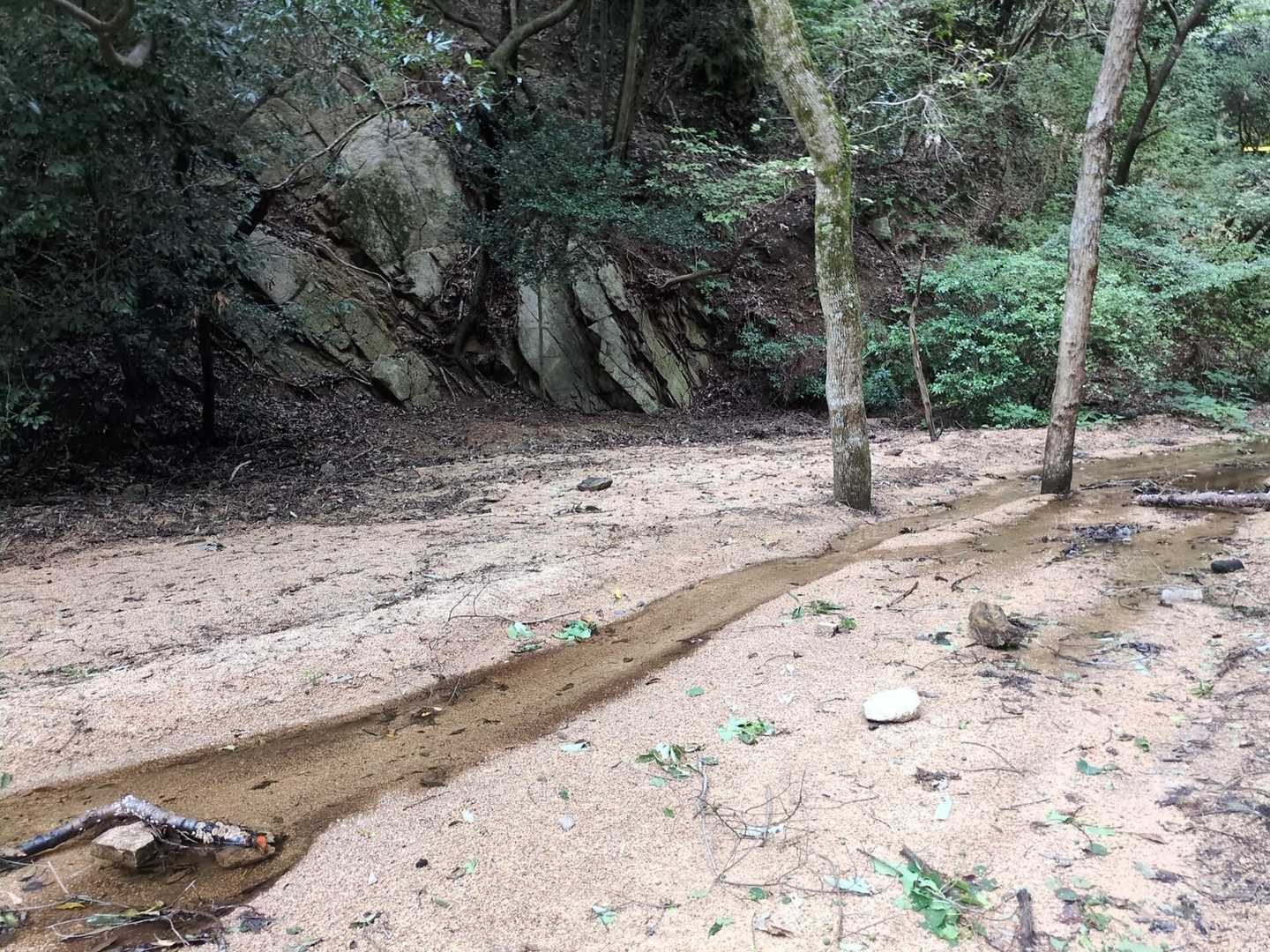 ここにも少し水流が😀