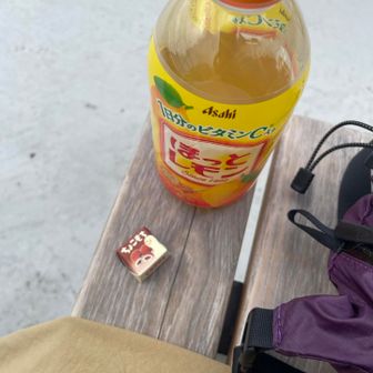 今日のエネルギー源