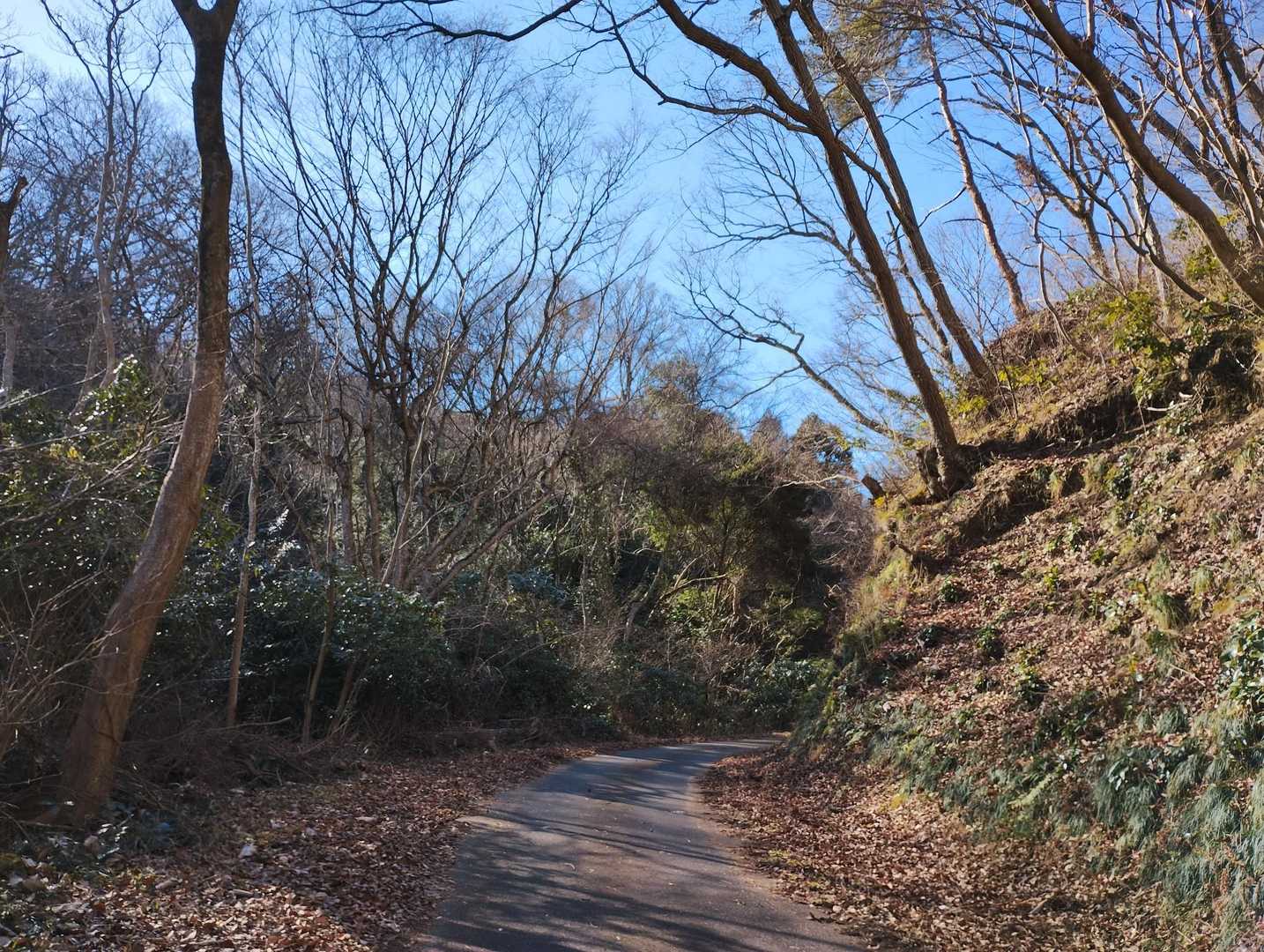 林道歩きが結構ありました😁