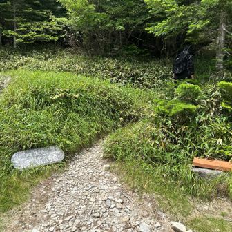 避難小屋で休憩した後、戻ります ↩️