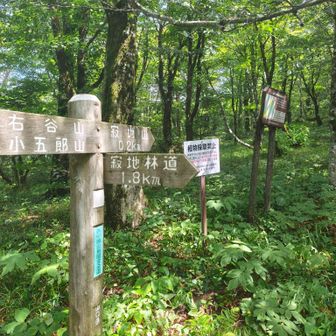 復路の分岐点までやってきた
あと200m。。。