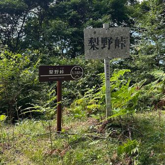 梨野峠