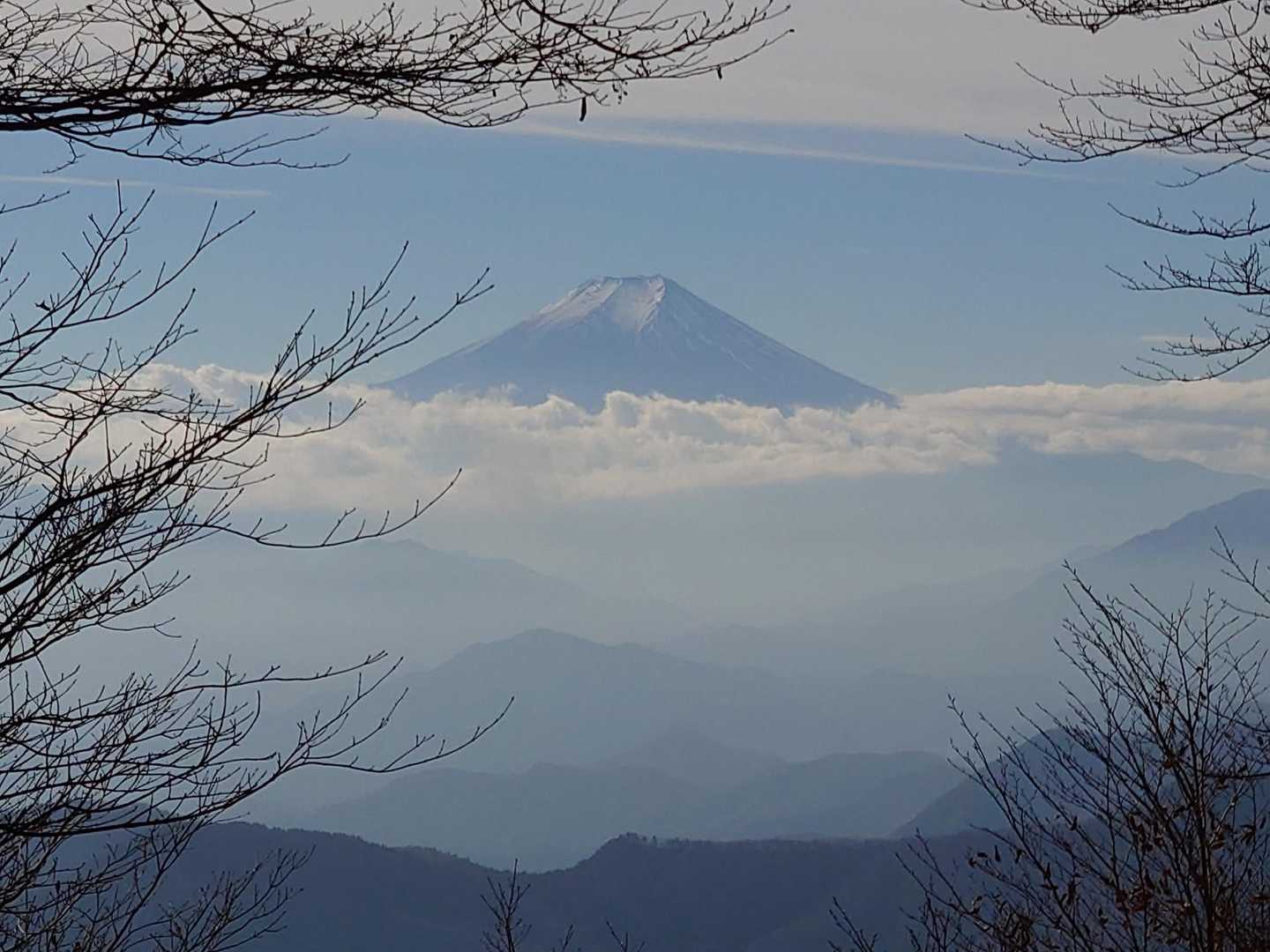 花と樹木、野鳥を愛でながら歩く、東京・奥多摩三頭山コースの写真