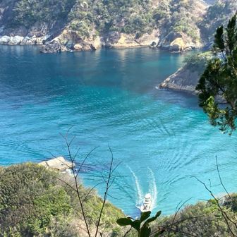 水が綺麗すぎる