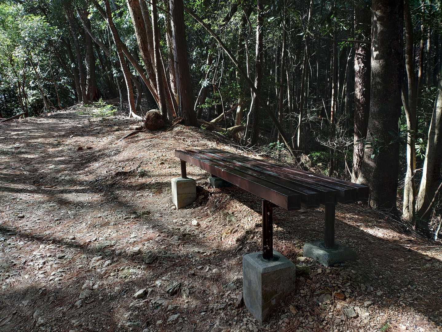 新しいベンチ増えてる