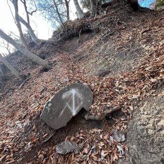 紛らわしいけど、直進で正解。