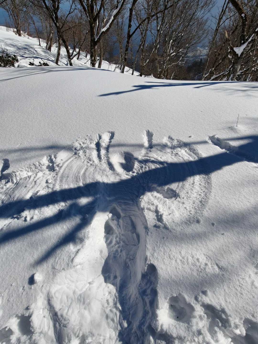 蛇谷ヶ峰 / かまべーさんの蛇谷ヶ峰の活動データ | YAMAP / ヤマップ