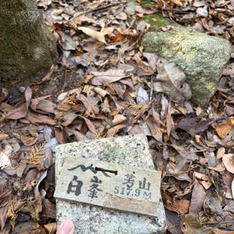 眺望なし　芳山（ほやま）518m