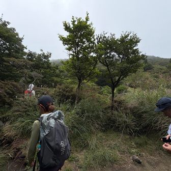 避難小屋まで下りたら、池に向かって登り返します😫