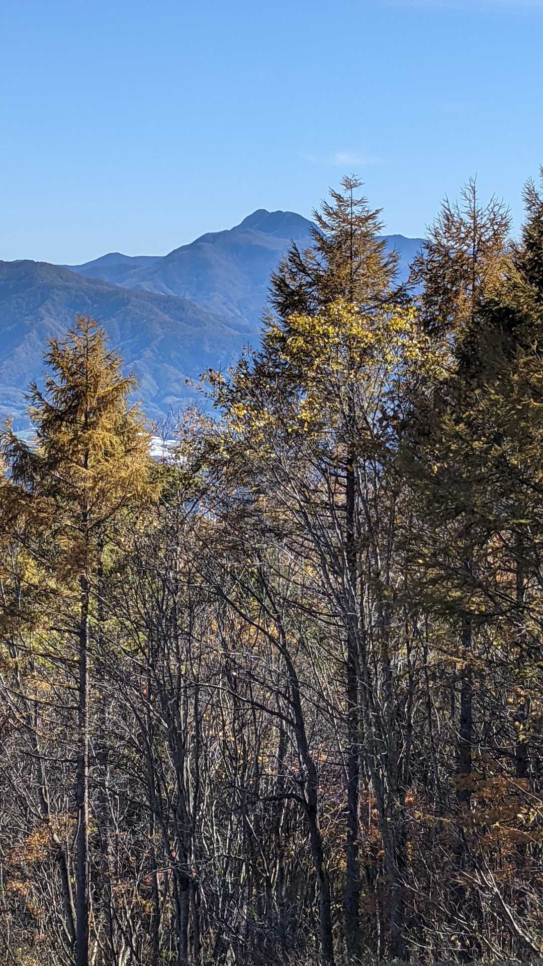 武尊山登山口-前武尊 往復コースの写真
