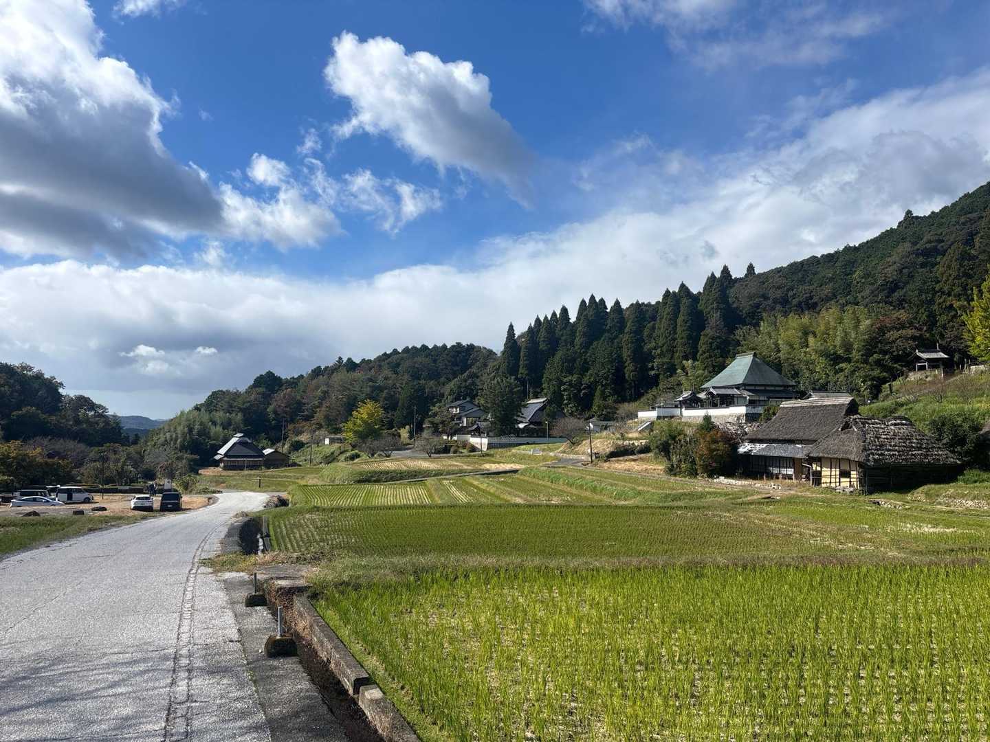 素敵な風景を楽しめた山歩きでした♪