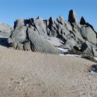 休まずに安全地帯となる
樹林帯🌲へ