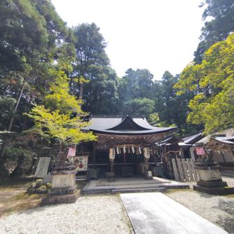 木々に包まれた坪庭みたいな良い神社