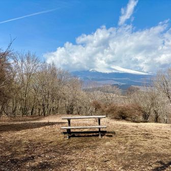 富士山雲に隠れてますねえ
少しのんびりして下山です👣