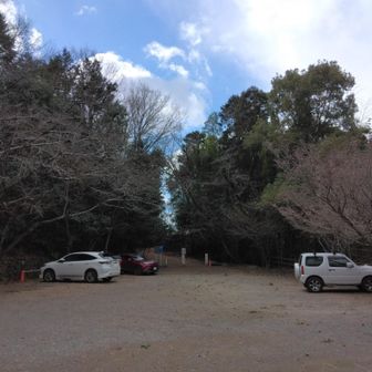 駐車場🚙に戻りました↩️