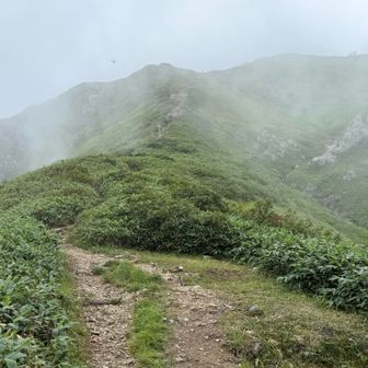 越後駒ヶ岳まで25分位