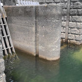 取水口
ぎりぎりの水位