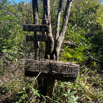 萱ヶ崎山山頂に到着