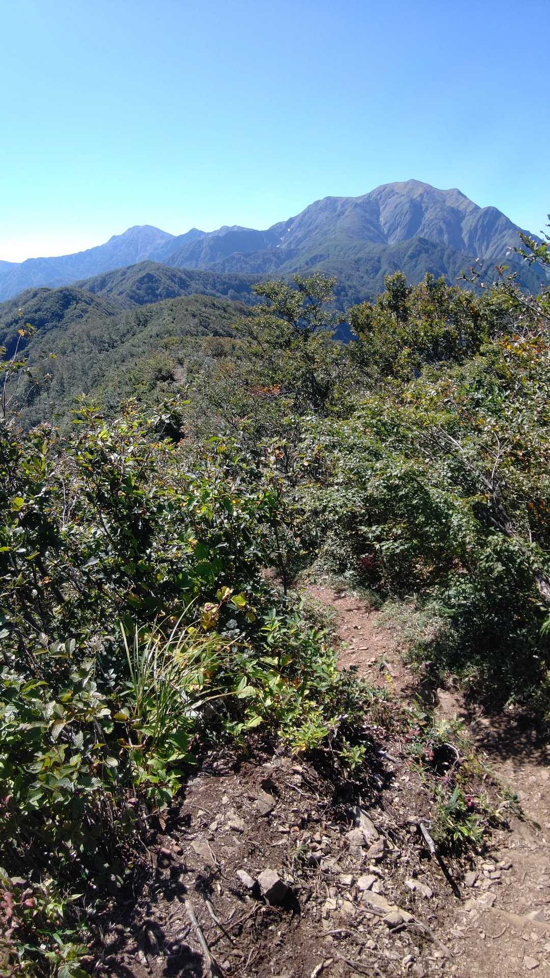 枝折峠-明神峠-道行山 往復コースの写真