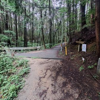 二上山やしまっすぐ⬆️

疲れてだんだん写真へってきた　笑
