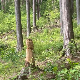 戻ってきて、
フクロウのお出迎え。