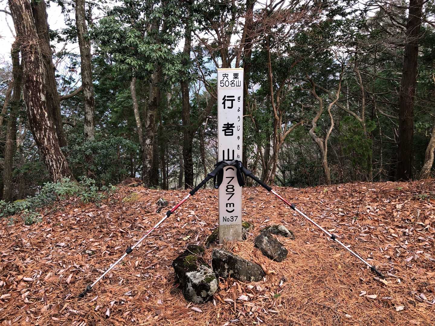 ここが本当の頂上。いつもの宍粟50名山のピーク表示があります。