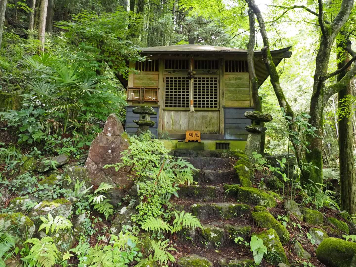 滝本まで下山した、膝はガクガク