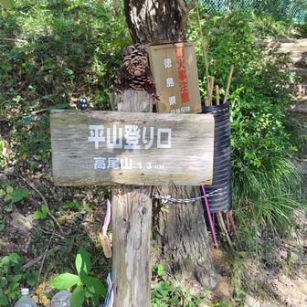 いつもの登山口から