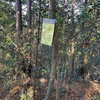 山王峠を目指します。