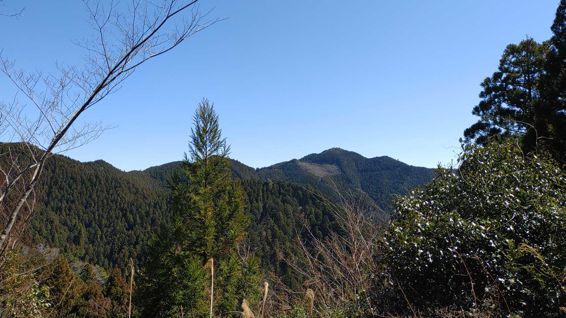 今日唯一の眺望
おつかれ山