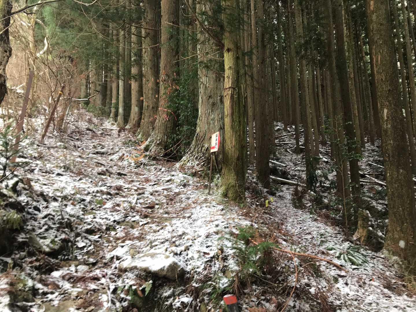 青滝山への分岐点。
雪は薄っすらと