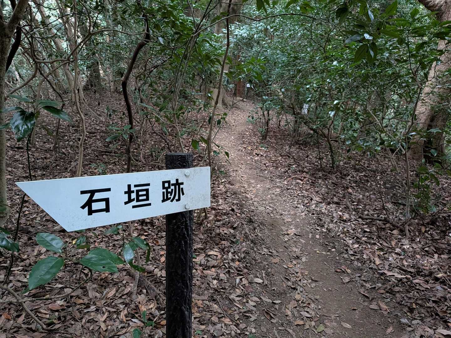 周回します！