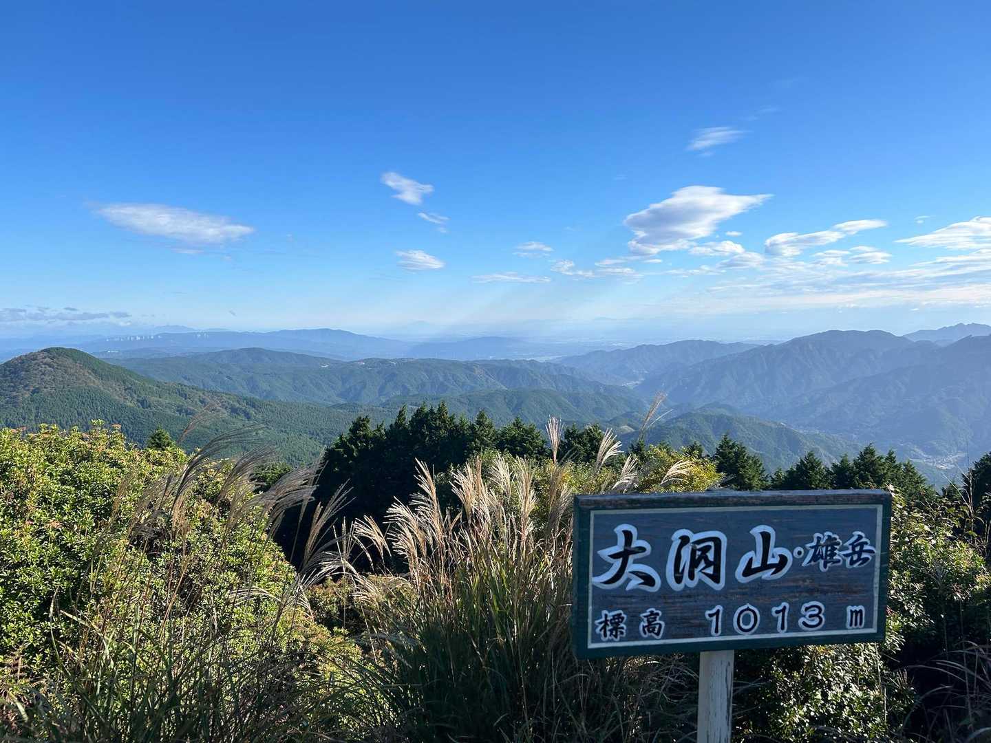 大洞山-大洞山-四ノ峰-倉骨峠-尼ヶ岳 往復コースの写真