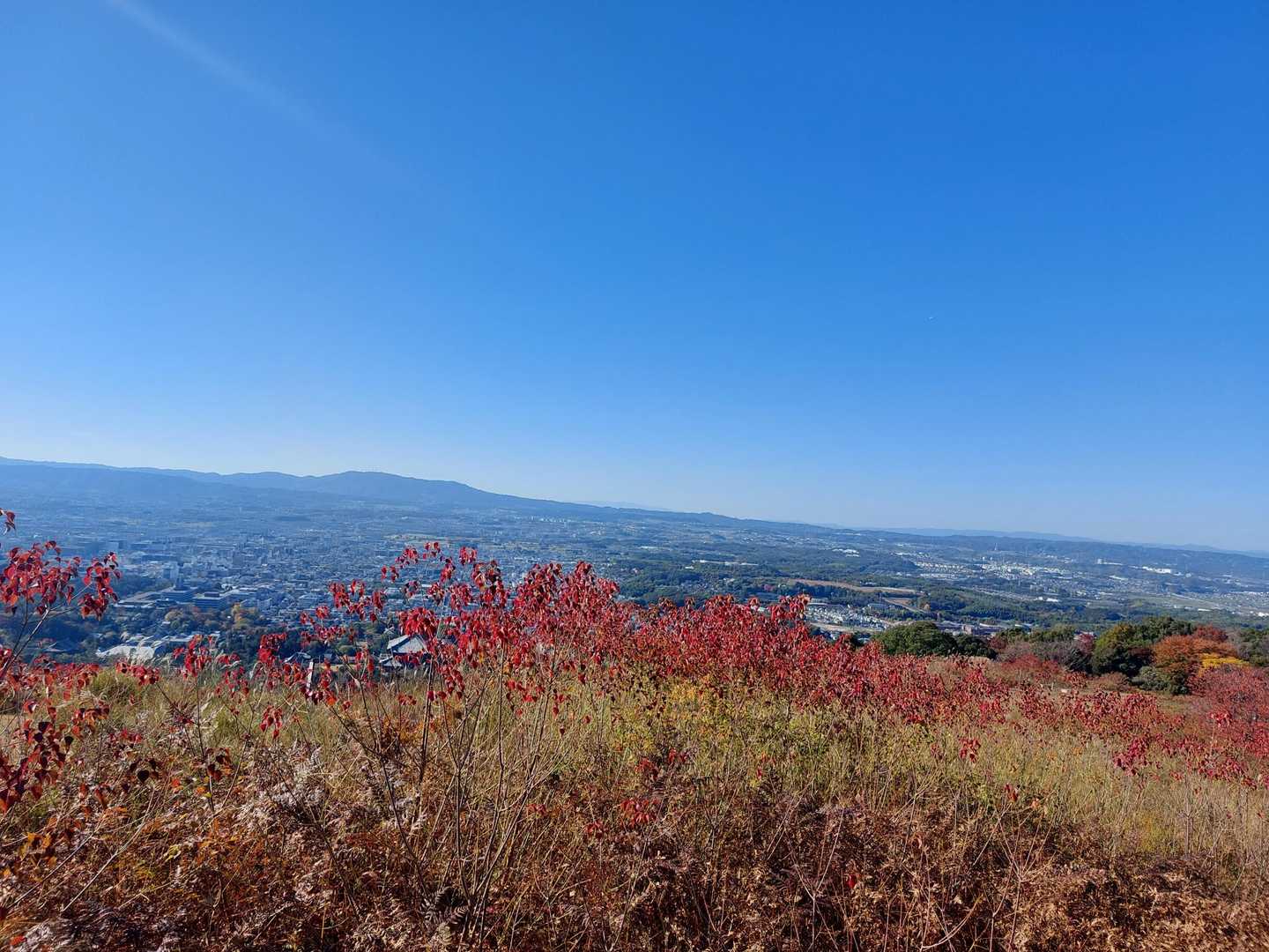 近鉄奈良駅-若草山麓バス停-若草山 往復コースの写真