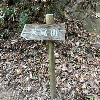 今回のルートの最後…天覚山です⛰️ザレで登りにくかったですね💦