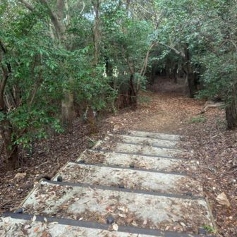 山頂手前でアブの大群いて、逃げるように降りてきた😢
