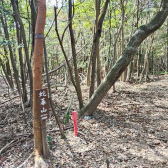 危うく見逃すところでした😆
完全に通りすがりピークです